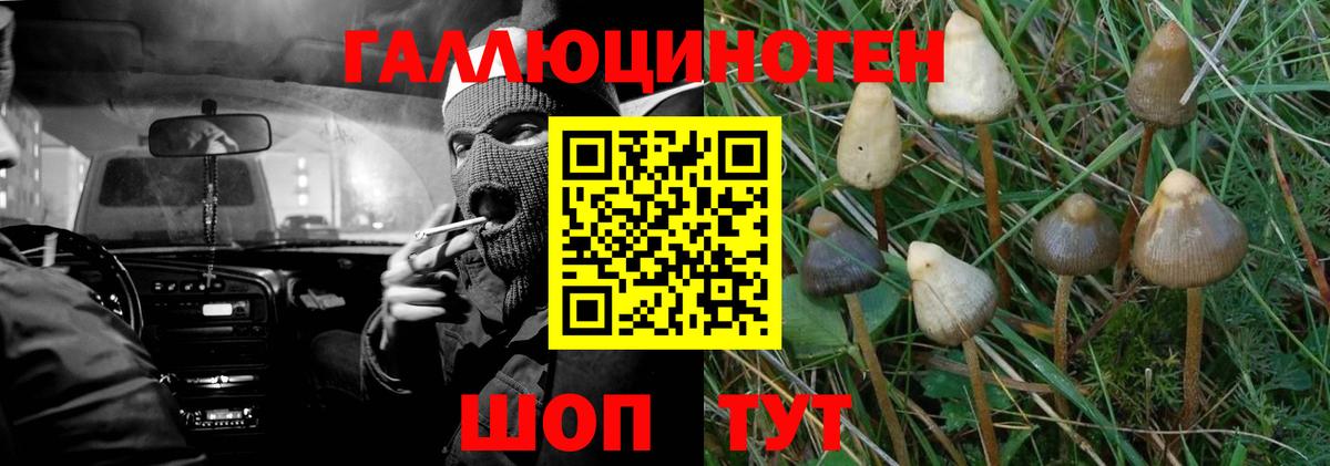 Сарапул  Галлюциногенные грибы GOLDEN TEACHER  Вход с VPN 
