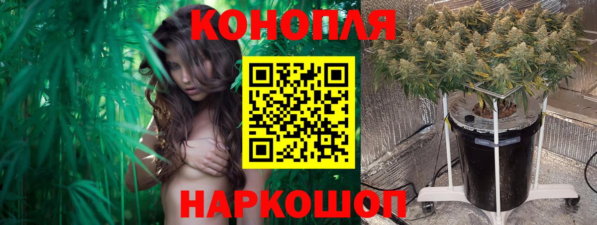 Каннабис конопля Сарапул
